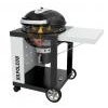 newnk22ck-c-charcoal-cutaway-napoleon-grills1312025.jpg