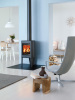���� ����� Jotul F 162 WO/Side Glass BP, ��� 2