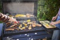 �������� ����� Char-Broil Charcoal L, ��� 8