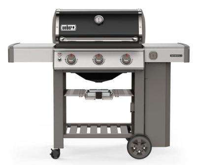 ������� ����� Weber Genesis II E-310 GBS